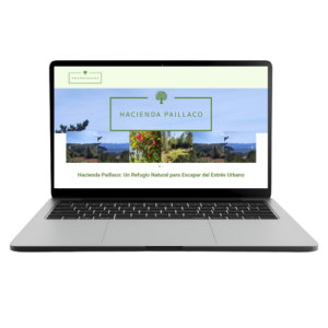 Doble A Digital agencia publicitaria (9)